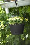 green basics hanging basket 28cm living black